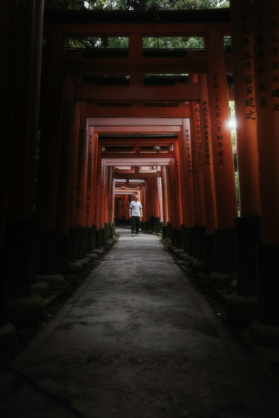盖尔·加朵回应《白雪公主》票房惨败